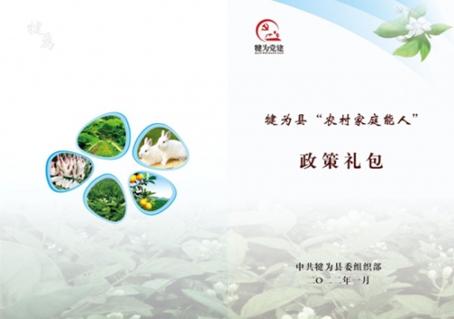 【乡村振兴】四川犍为:培塑“雁阵”“农村家庭能人”领头“高飞”