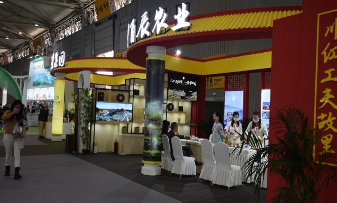 第11届四川国际茶博会开幕!宜宾市31家茶企组团亮相,擦亮茶业强市金字招牌