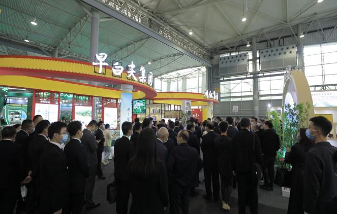 第11届四川国际茶博会开幕!宜宾市31家茶企组团亮相,擦亮茶业强市金字招牌