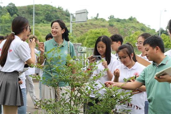 以“莓”为媒,调研乡村振兴发展新路子:车辆工程学院走进南川大观镇调研嘉蓝悦霖农业公司