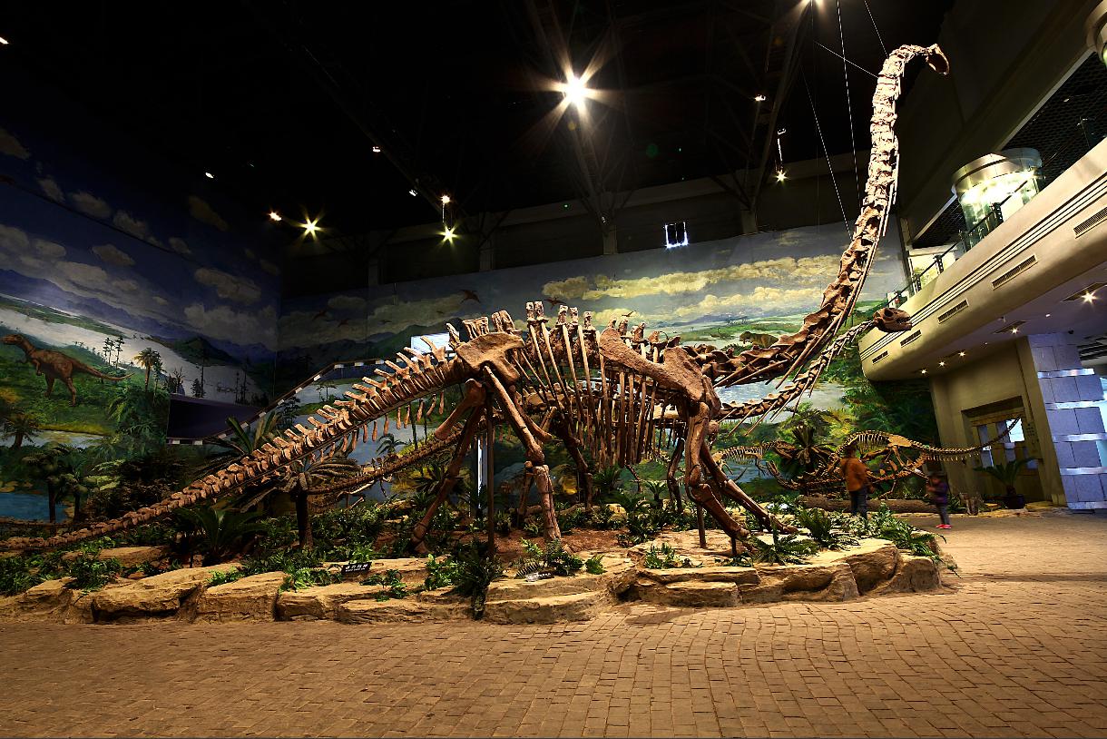 “盐都聚英才创新引未来”2025年自贡知名高校秋招行