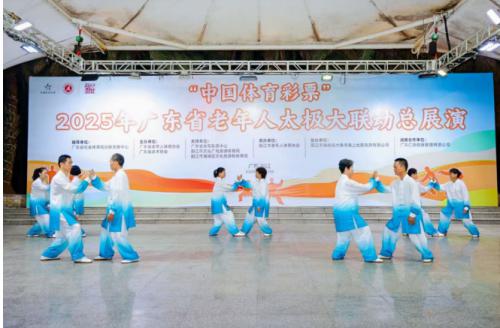 “彩票”2025年广东省老年人太极大联动总展演于海陵岛圆满落幕