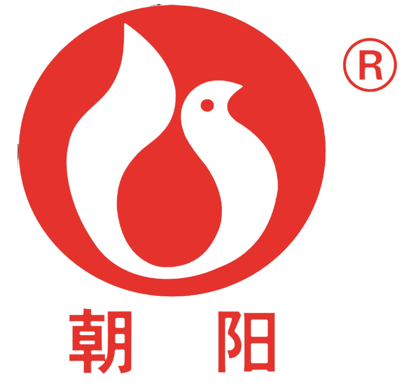 湖南朝阳电机泵业集团有限公司官网