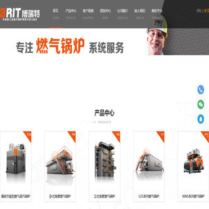 燃气锅炉领导者