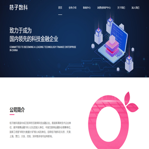 桔子数字科技有限公司