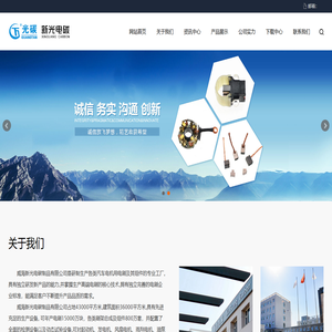 威海新光电碳制品有限公司