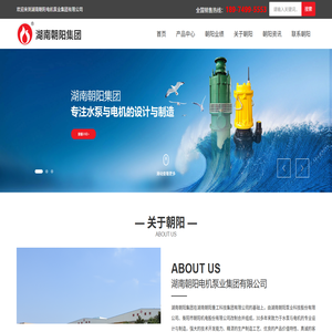 湖南朝阳电机泵业集团有限公司