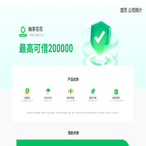 广州市雪松互联网小额贷款有限公司