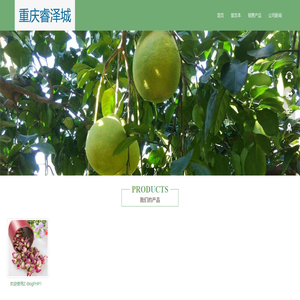 重庆睿泽城电子商务有限公司