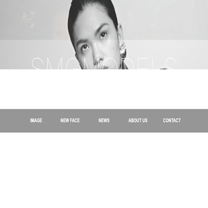 SMGMODELS