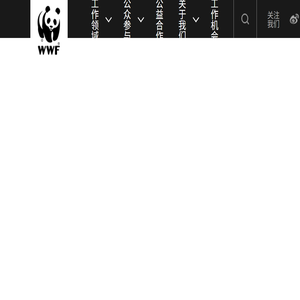 世界自然基金会（WWF）北京代表处