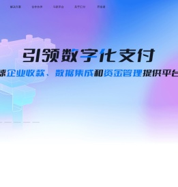 引领数字化支付