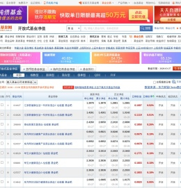 每日开放式基金净值表