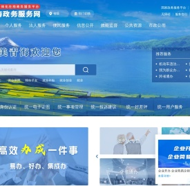 青海政务服务网