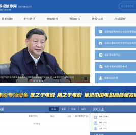 中国电影数据信息网