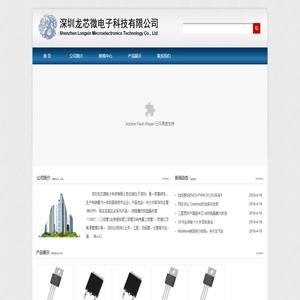 深圳龙芯微电子科技有限公司