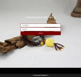 中宝首检金银珠宝质量检验中心