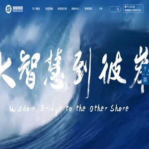 智度集团有限公司