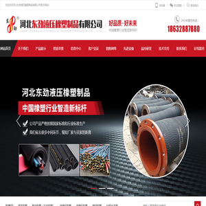 河北东劲液压橡塑制品有限公司