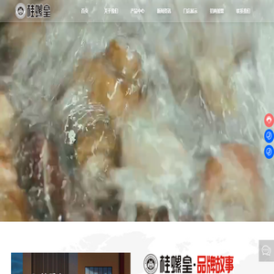 广西柳州市桂螺皇食品科技有限公司