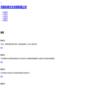 河南实况信息科技有限公司