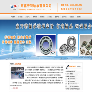 托辊轴承厂,开式托辊轴承,双密封托辊轴承,单密封托辊轴承