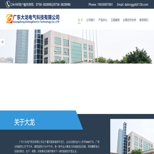 广东大龙电气官网