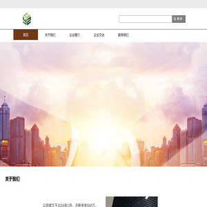 公司官网