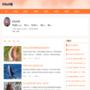 950安卓网