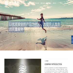 高锰酸钾生产的世界领航者