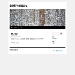 爱吃橙子与辣椒的小站