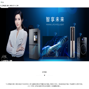 TCL王牌电器（惠州）有限公司