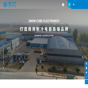 山东雪立方电器有限公司