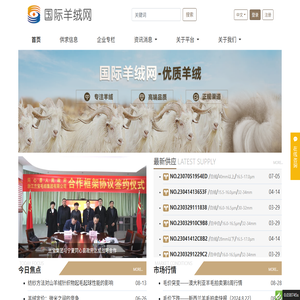 国际羊绒网
