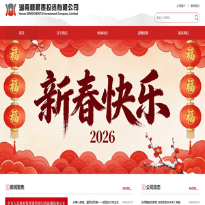 湖南鼎晨泰投资有限公司