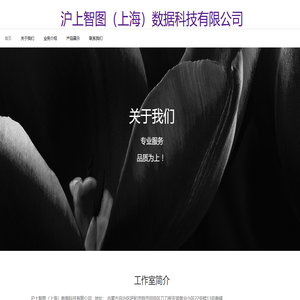 沪上智图（上海）数据科技有限公司