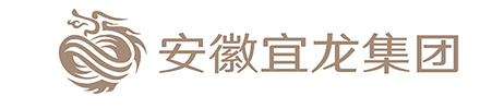 安徽宜龙集团房地产开发有限公司