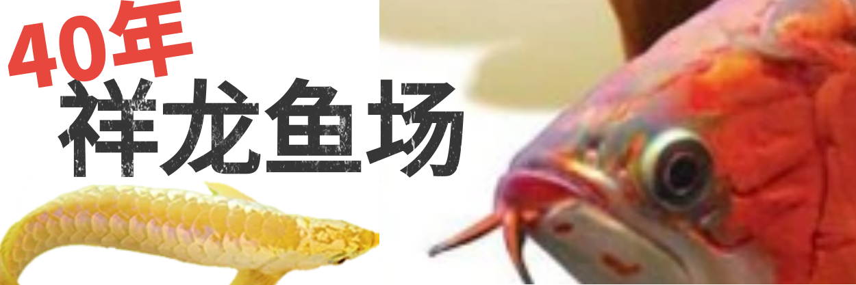 广州百艺城