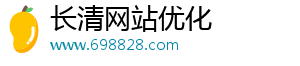 长清网站优化