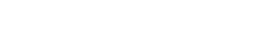 SMGMODELS