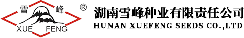 雪峰种业