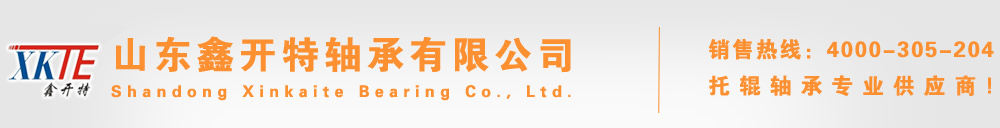 托辊轴承厂,开式托辊轴承,双密封托辊轴承,单密封托辊轴承